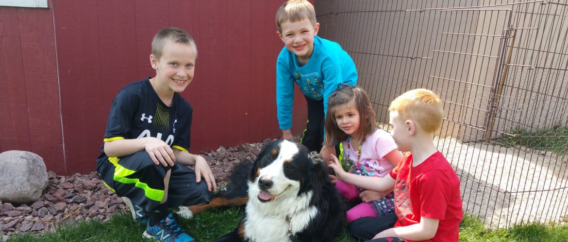 4 Kids and Bella the dog